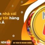 Bắn Cá JDB: Tận Hưởng Hành Trình Chơi Thắng Lớn tại NEW88